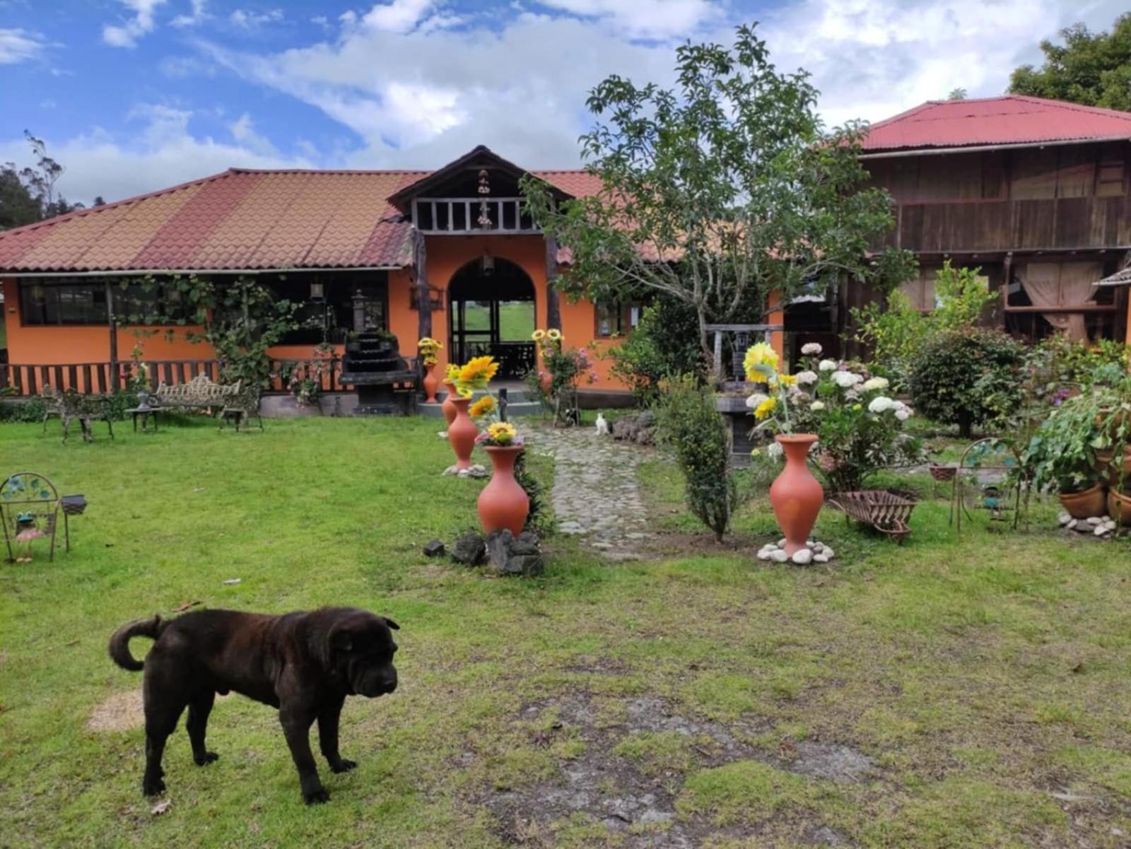 Hosteria Las Orquideas Hotel Banos  Bagian luar foto